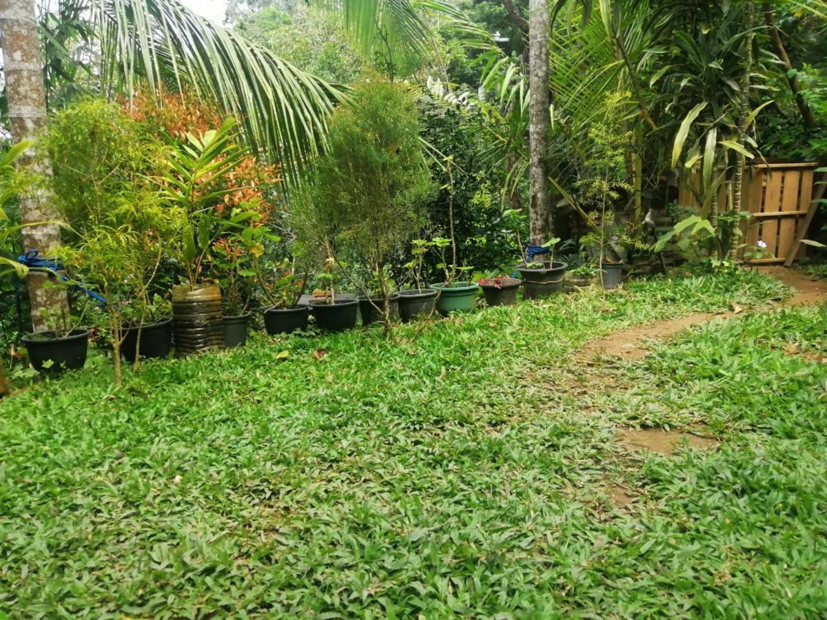 Sky Garden Ella Apartment Exterior foto