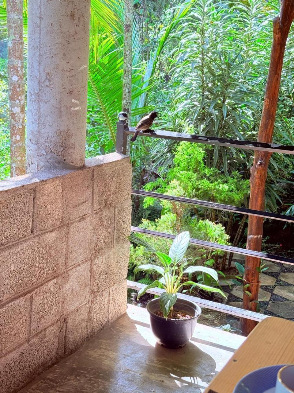 Sky Garden Ella Apartment Exterior foto